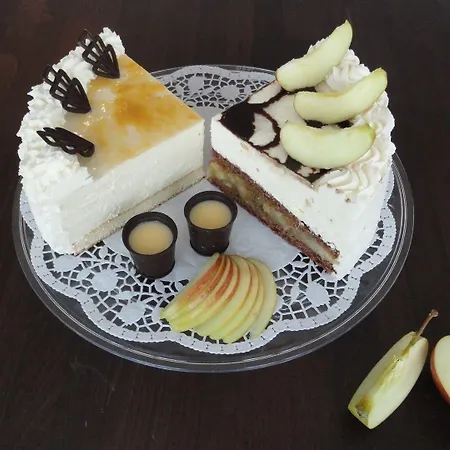 Hotel Else Heidenau (Saxony)