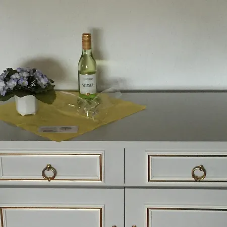 Hotel Else Heidenau (Saxony)